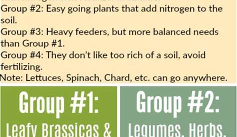 Crop Rotation Guide | Crop rotation, Organic gardening tips, Garden soil
