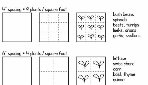 garden row spacing chart