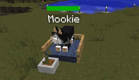 "Minecraft" Pet Cats: How to Tame and Feed Them - LevelSkip