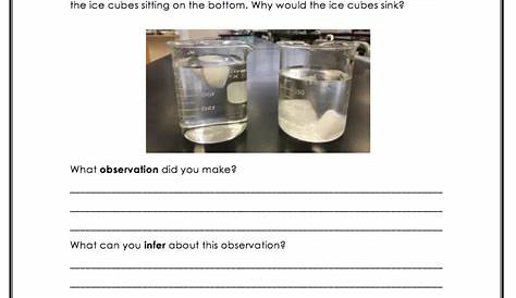 observations and inferences worksheet