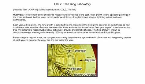 tree ring activity worksheets