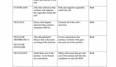 genetic disorders and organelles worksheet answers