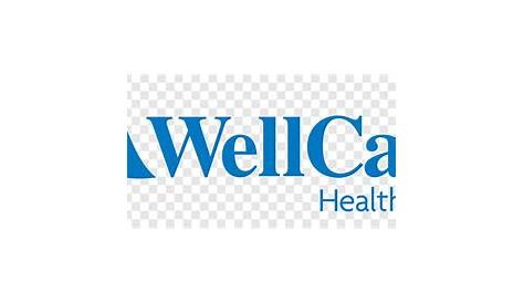 wellcare ga medicaid provider manual