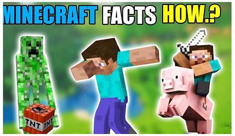 Minecraft facts you didn't know | Minecraft facts in hindi. - YouTube