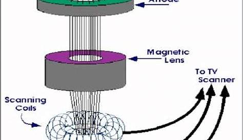 5) Schematic diagram of the scanning electron microscope (SEM