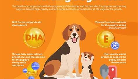 Healthy Pregnant Dogs = Healthy Pups