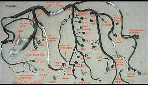 ls swap wiring diagram 2004