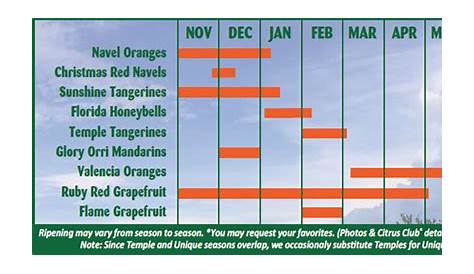 florida citrus season chart