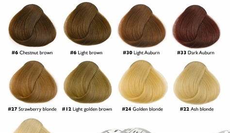 Bulk Braiding Hair Custom Order | Hair color chart, Hair color, Ombre