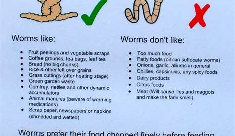 worm farm food chart