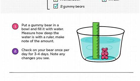 gummy bear science experiment worksheet