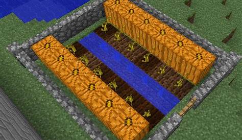Where To Find Pumpkins In Minecraft And How To Farm Them?
