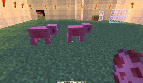 how to tame pigs in minecraft