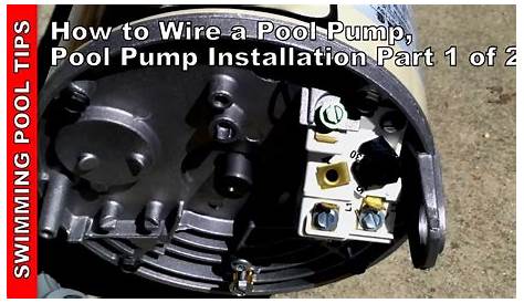 230v pool pump wiring diagram