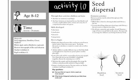 seed dispersal worksheet 2nd grade