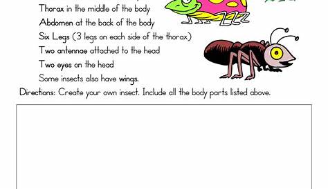 parts of an insect worksheet