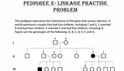 32 Pedigrees Practice Worksheet Answers - support worksheet