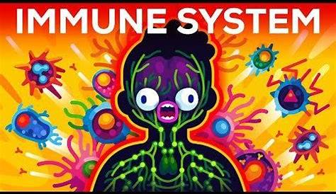 HOW THE IMMUNE SYSTEM ACTUALLY WORKS - IMMUNE : kurzgesagt