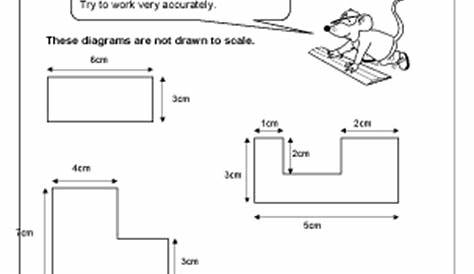 drawing to scale worksheet