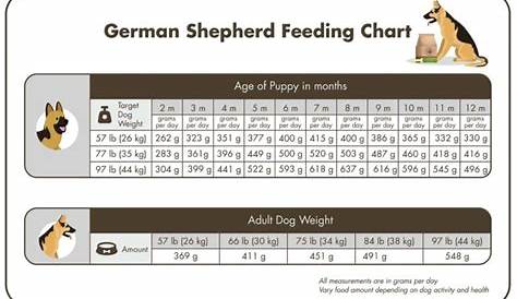 german shepherd feeding chart by age