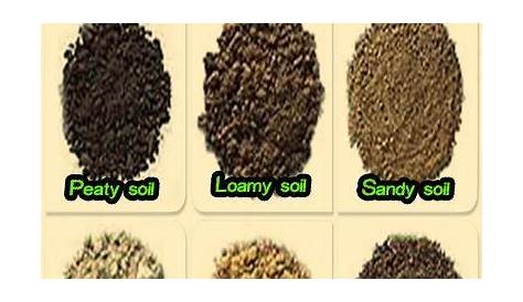 Garden tips - The six soil types | Composting & Soil Building