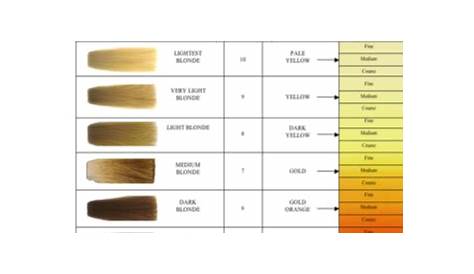 hair color bleach chart