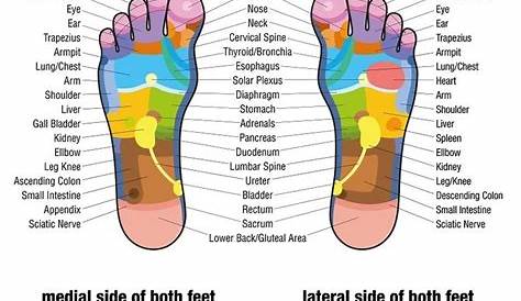 All Best Foot - Reflexology Charts Free Download