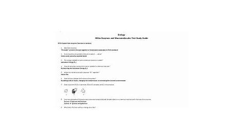 enzyme worksheet biology answers