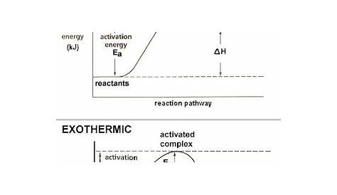 Chemistry 11: Endothermic V.S Exothermic Reactions