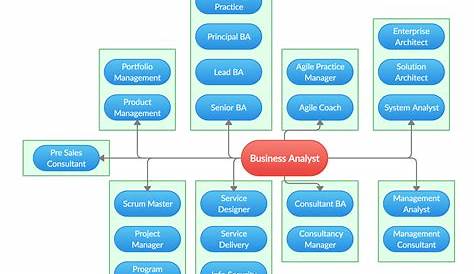 It Business Analyst Career Path Diagram