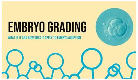 embryo grading chart day 5