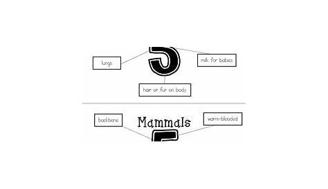 15 Best Images of Mammal Worksheets For Grade 1 - First Grade Animal