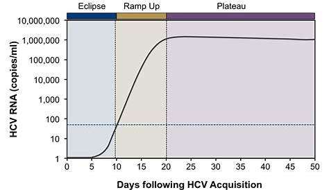 active hep c viral load