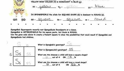 spongebob punnett square worksheets answer key
