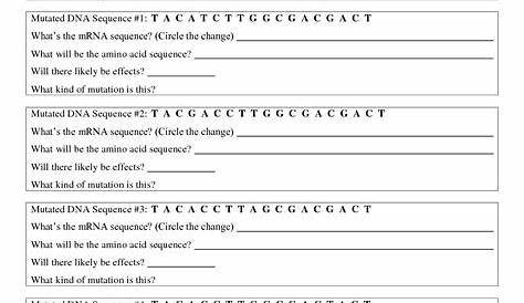 19 Best Images of The Genetic Code Worksheet Answers - Breaking the
