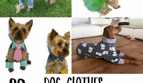 Cutest paid & free printable dog clothes patterns | Dog clothes
