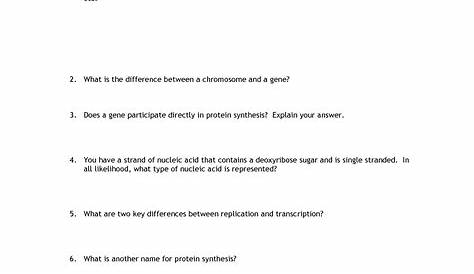 worksheet on dna rna and protein synthesis