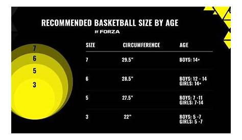 Basketball Sizes | What Size Basketball To Buy? | Net World Sports