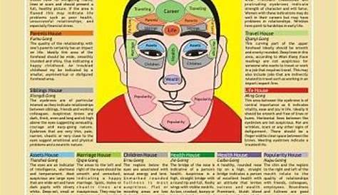 Physiognomy - Chinese Face Reading Chart | Chinese face reading, Face