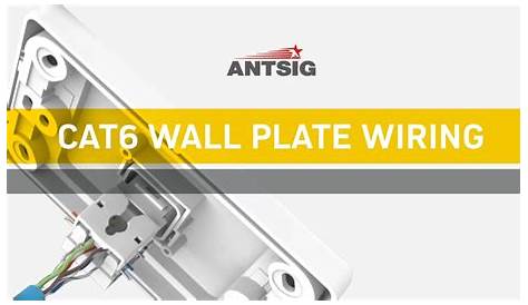 ANTSIG - How to wire a CAT6 wall plate - YouTube
