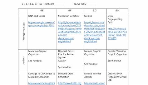 dna mutations practice worksheet pdf