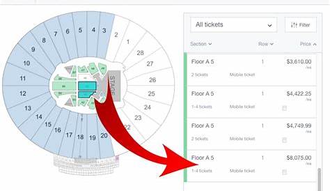 Taylor Swift Concert Tickets Price In India - FranciscoPetersen