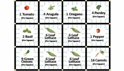 What to plant to Grow a Salad Garden | The Complete Guide