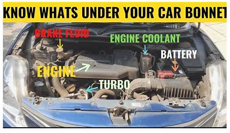 Car Parts Diagram Under Hood - Beginner S Guide To Body Parts Under The