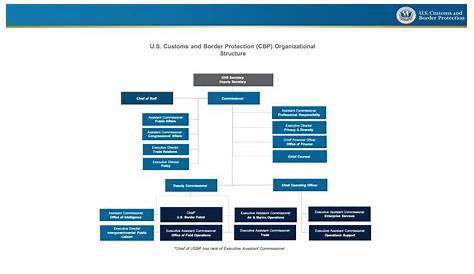 CBP Organization Chart | U.S. Customs and Border Protection