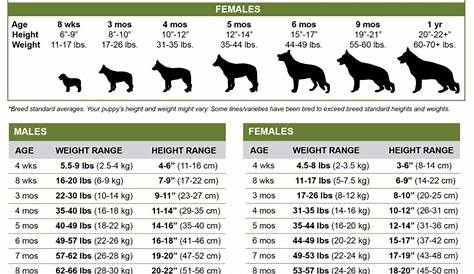 german shepherd weight chart female