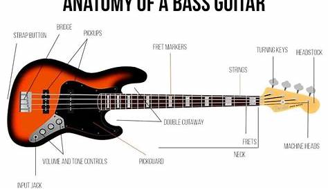 parts of a bass guitar diagram