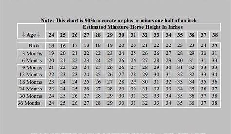 girth size chart horse