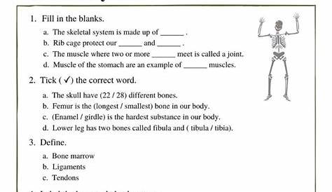 Engaging Skeletal System Worksheets for Class 5 Students