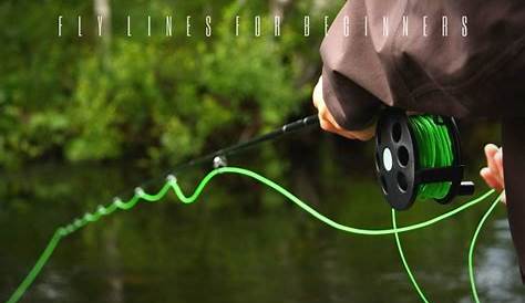 The 3 Best Fly Lines for Beginners in 2022 - Buyers Guide